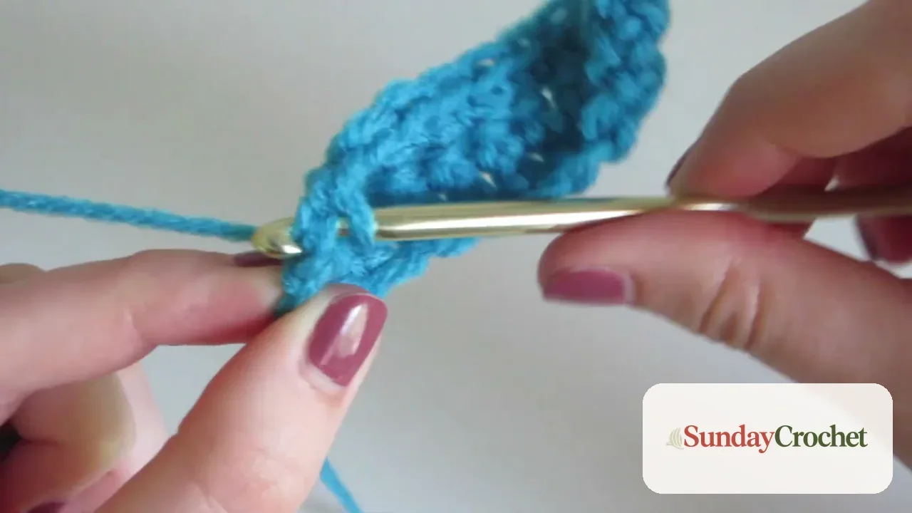 Hands placing a crochet hook through one loop of a blue stitch for back loop only crochet