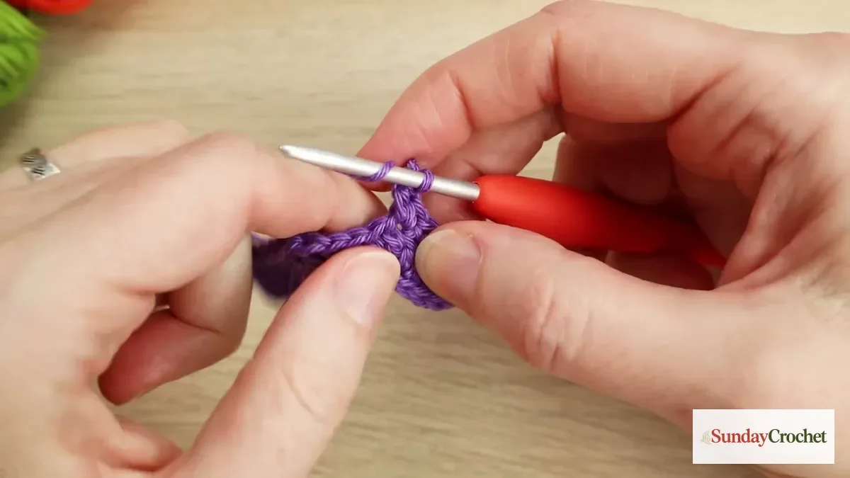 Hook works into the purple stitches while shaping a small picot point along the bat's opposite edge