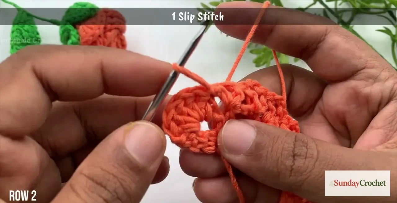 Hands form the second row of coral rose petals in the chain-two spaces of a crochet strip