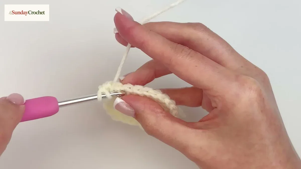 A crochet hook works the double-crochet groups and chain-two gap that form a point on the star bag
