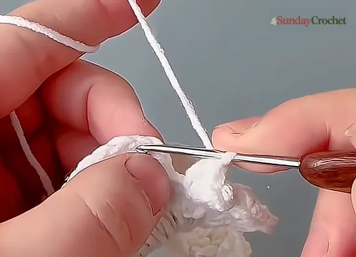 Crochet hook enters a gap between white double crochet stitches as the ruffle begins