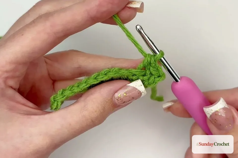 Crochet stitches are worked back along the opposite side of the chain to form the leaf blade