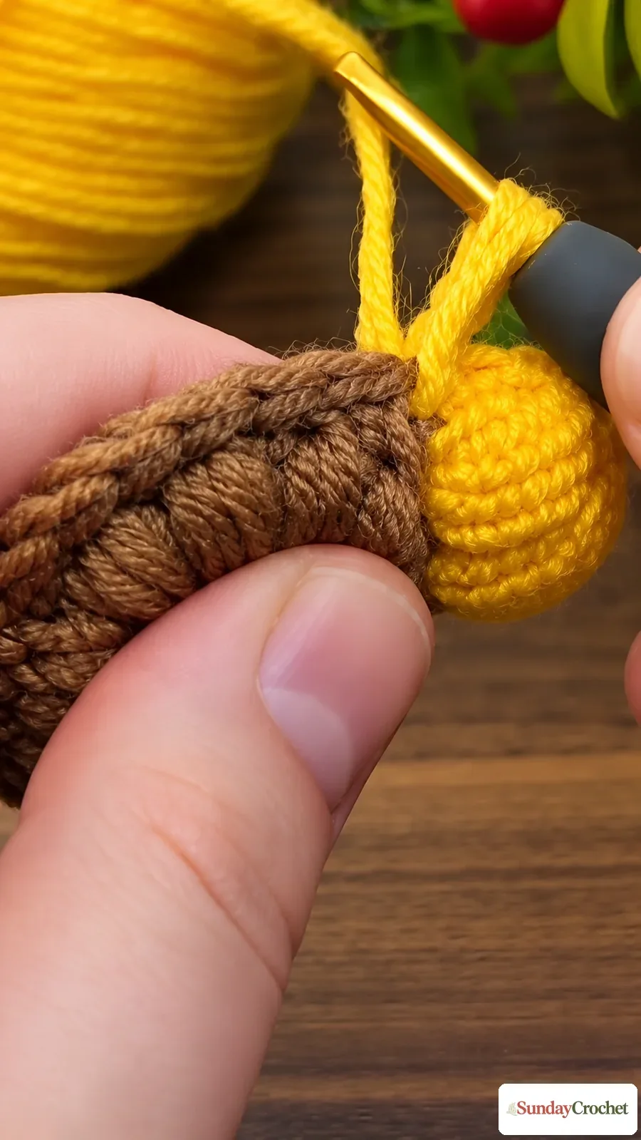 Yellow crochet petals continue around the edge of a round brown center