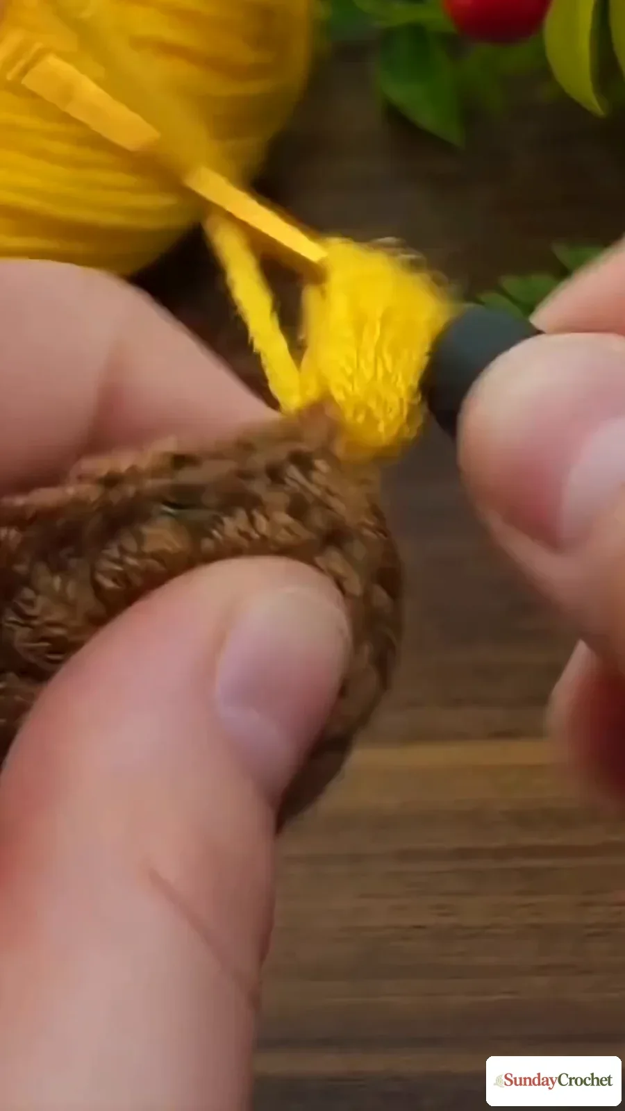 Yellow yarn and crochet hook begin the first raised petal at the brown sunflower center