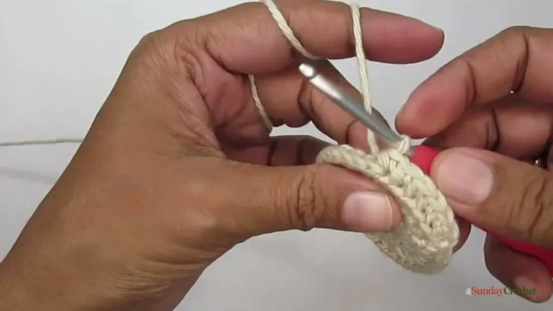 A hook works single crochet stitches through the back loops to start the flowerpot sides.